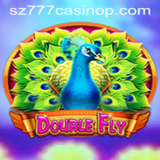 DoubleFly: A Modern Twist in Gaming